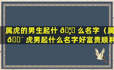 属虎的男生起什 🦄 么名字（属 🐴 虎男起什么名字好富贵顺利平安）